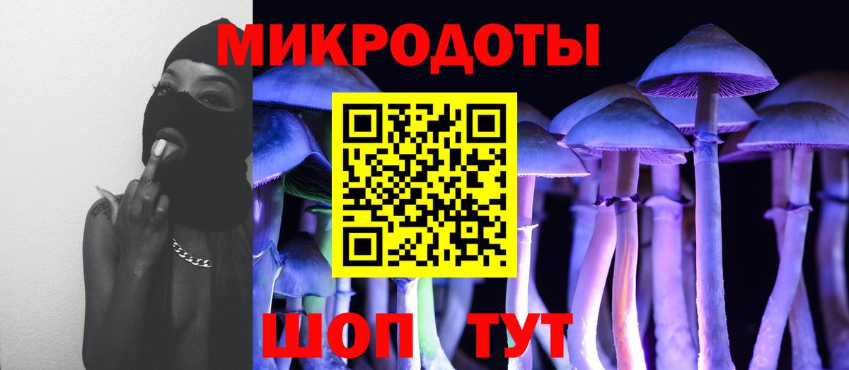 что такое   Галлюциногенные грибы мицелий  Вход с VPN  Псилоцибиновые грибы мухоморы  Заводоуковск 