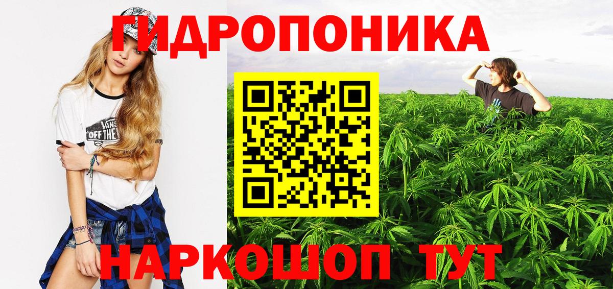 Бошки марихуана SATIVA & INDICA Заводоуковск